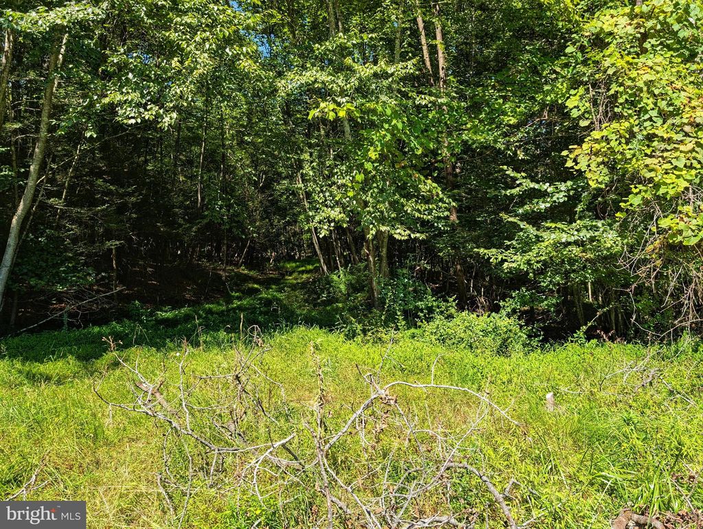 Photo of 271 Kearkuff Road, BENTON, PA 17814 (MLS # PACO2000540)