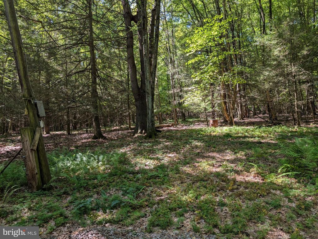 Photo of 271 Kearkuff Road, BENTON, PA 17814 (MLS # PACO2000540)