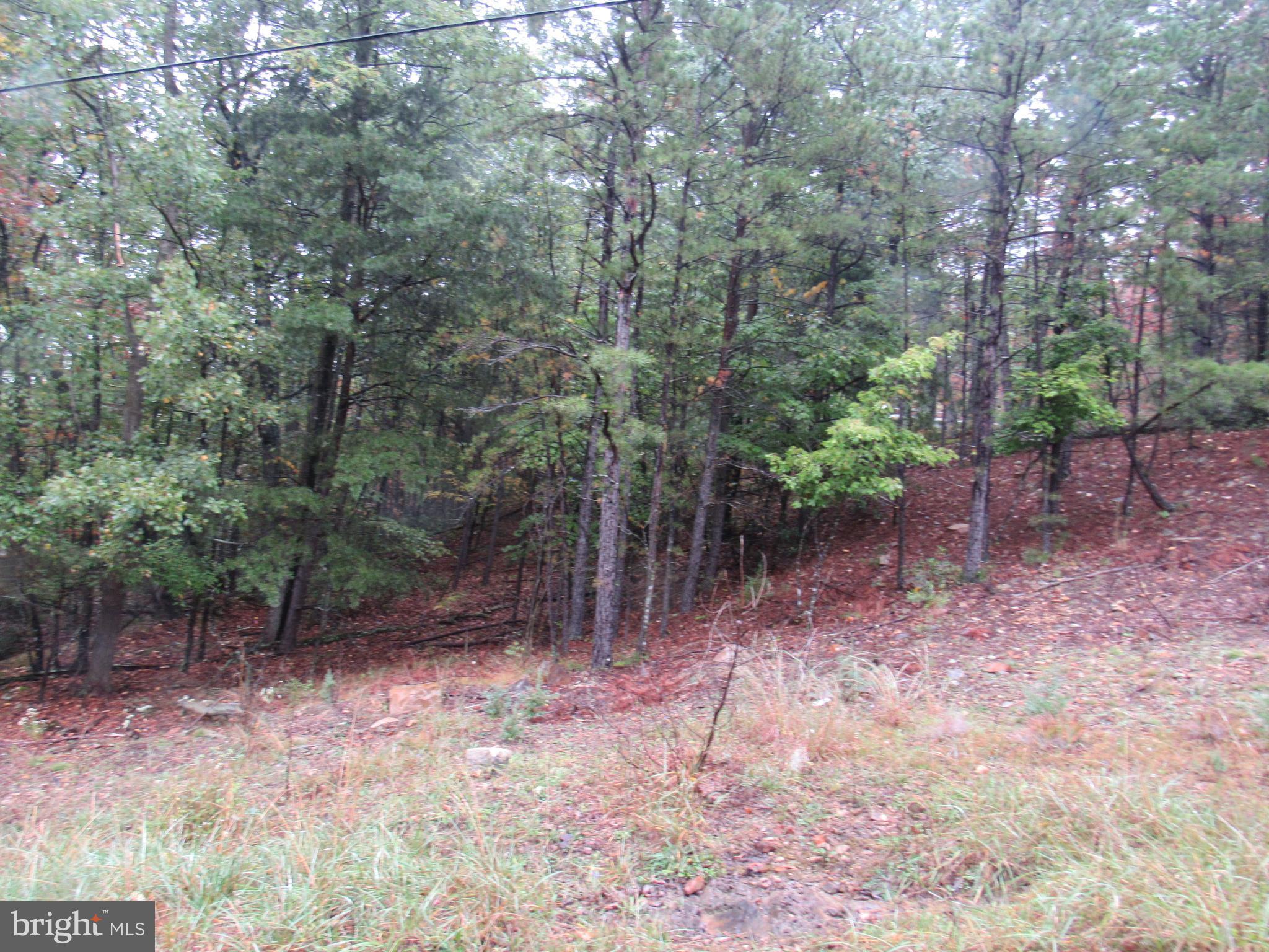 ROCK RIDGE ACRES - Land