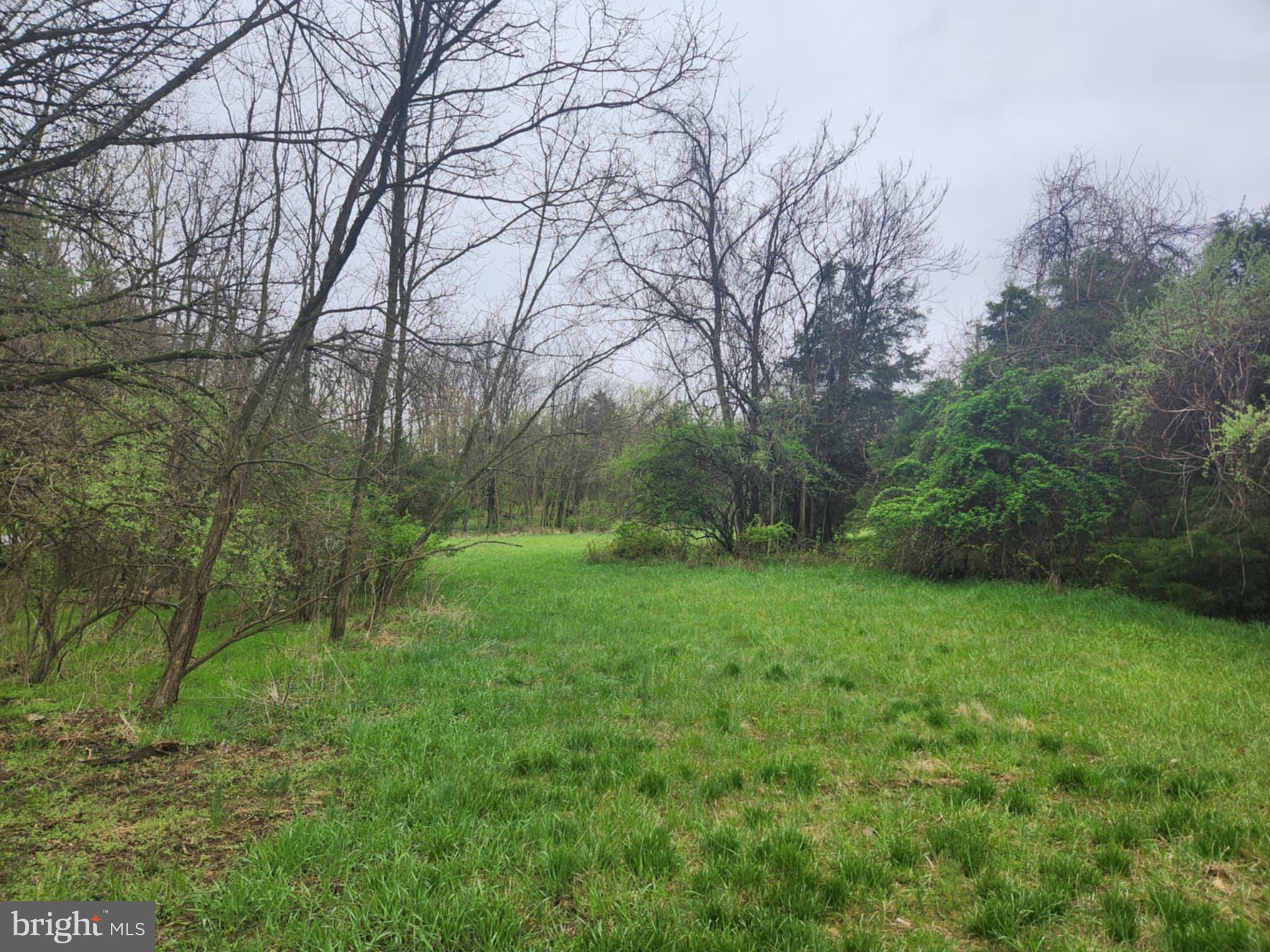 15423 DELLINGER ROAD