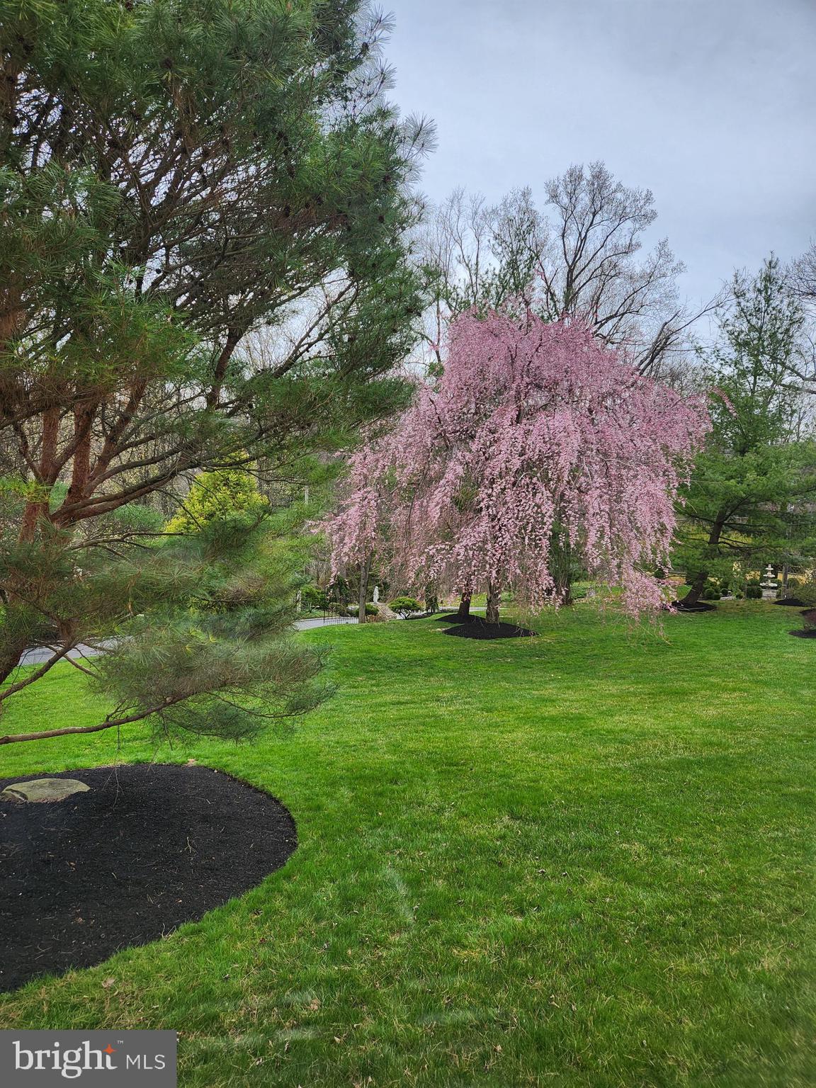 GLADWYNE - Residential