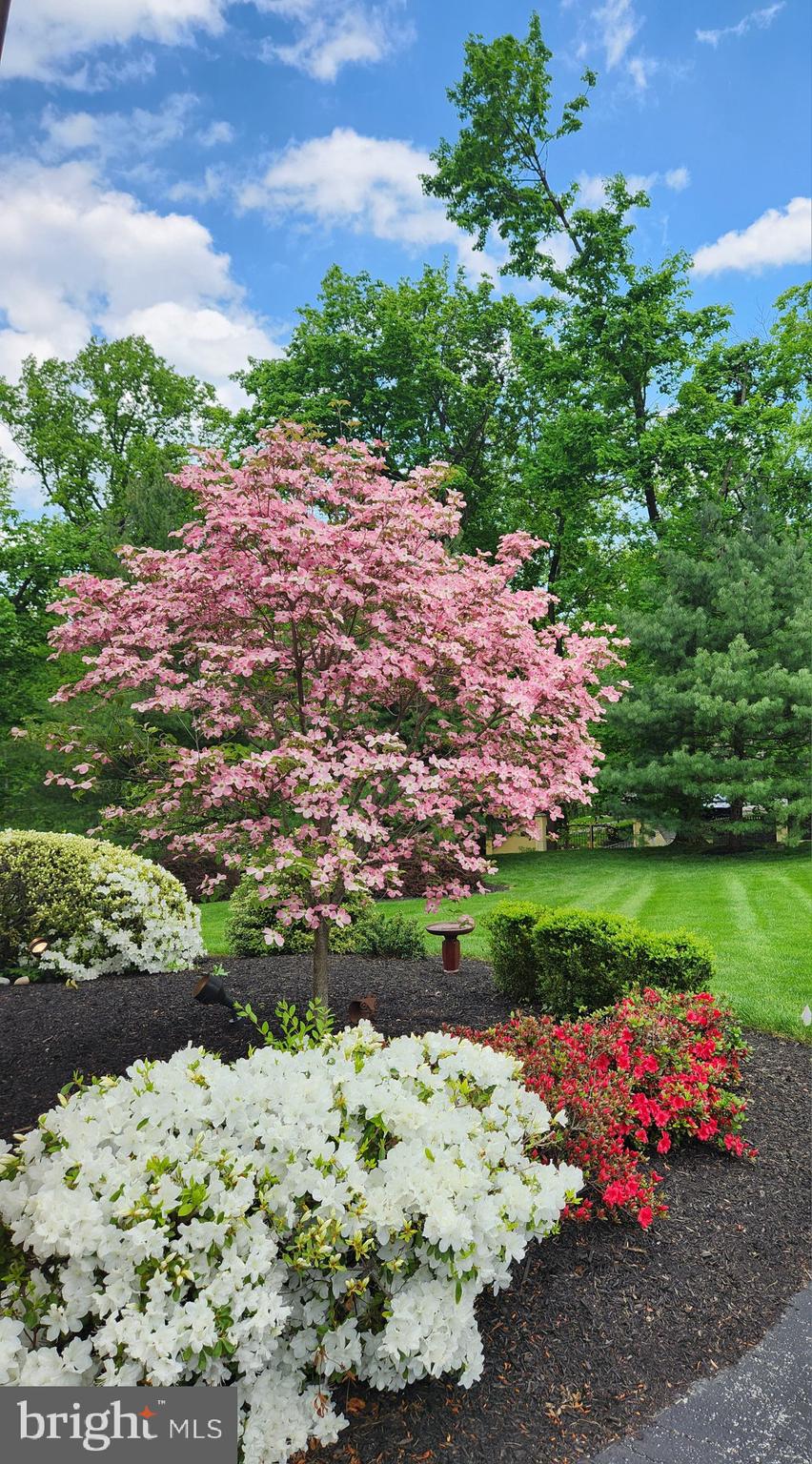 GLADWYNE - Residential