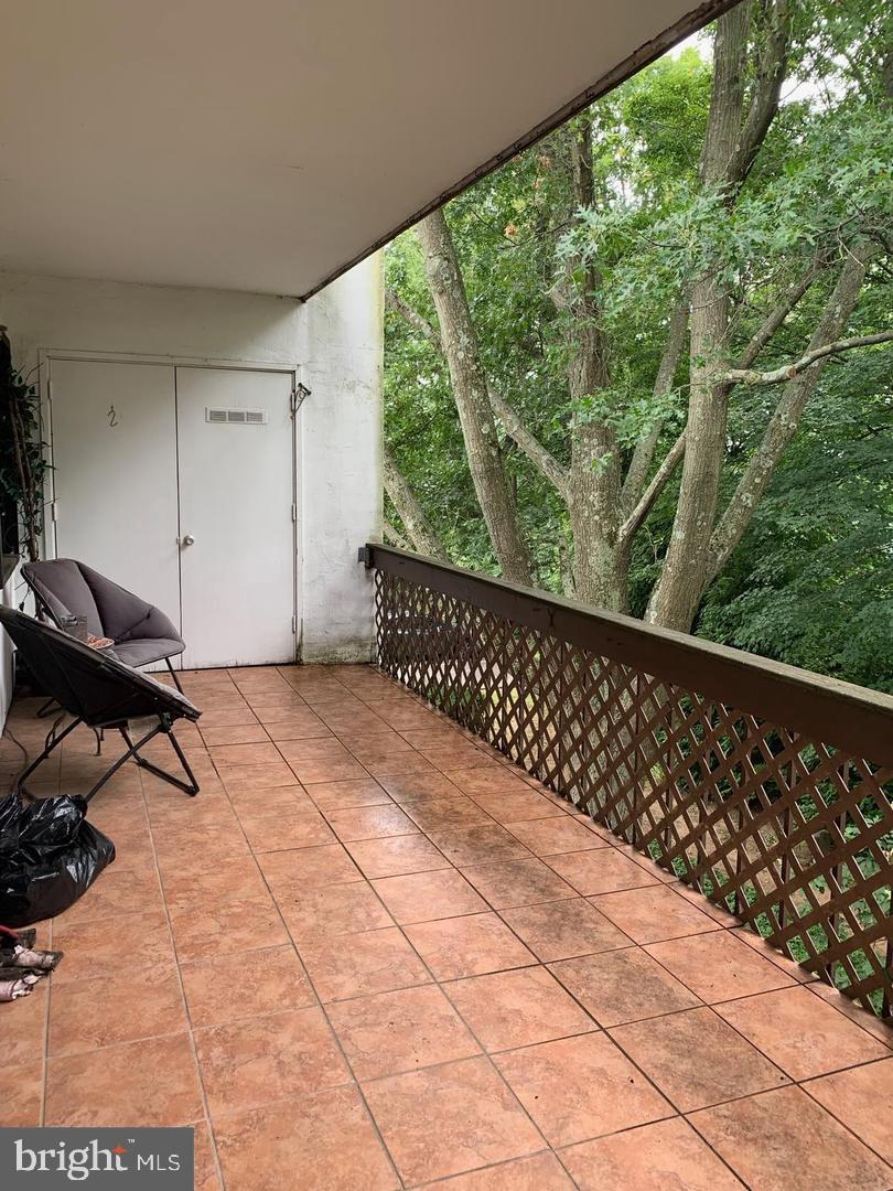 20 DOUGHERTY BOULEVARD M5