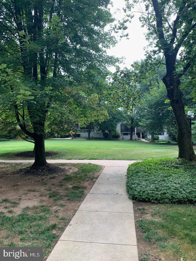 20 DOUGHERTY BOULEVARD M5