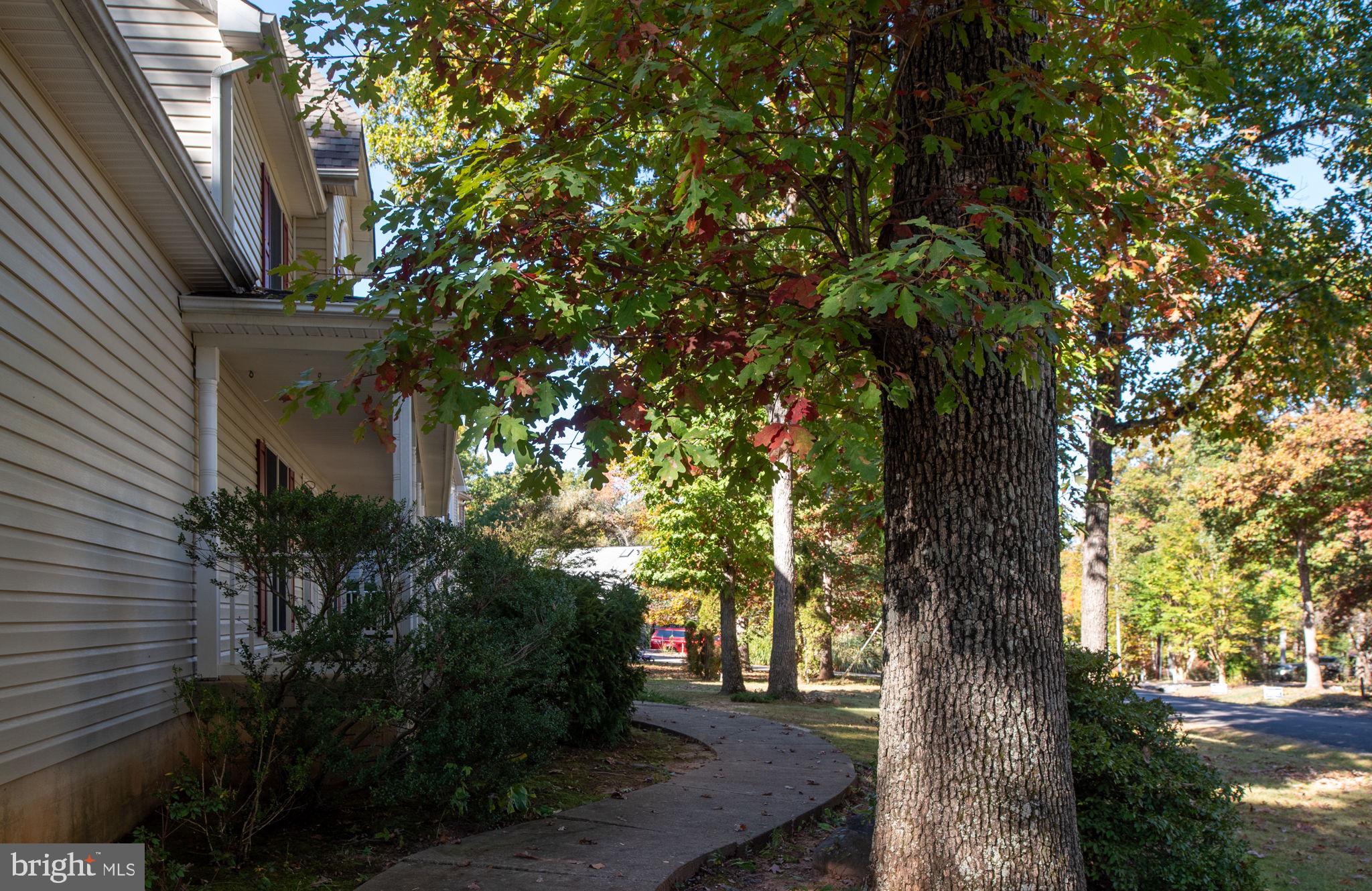 LAKE OF THE WOODS - Residential