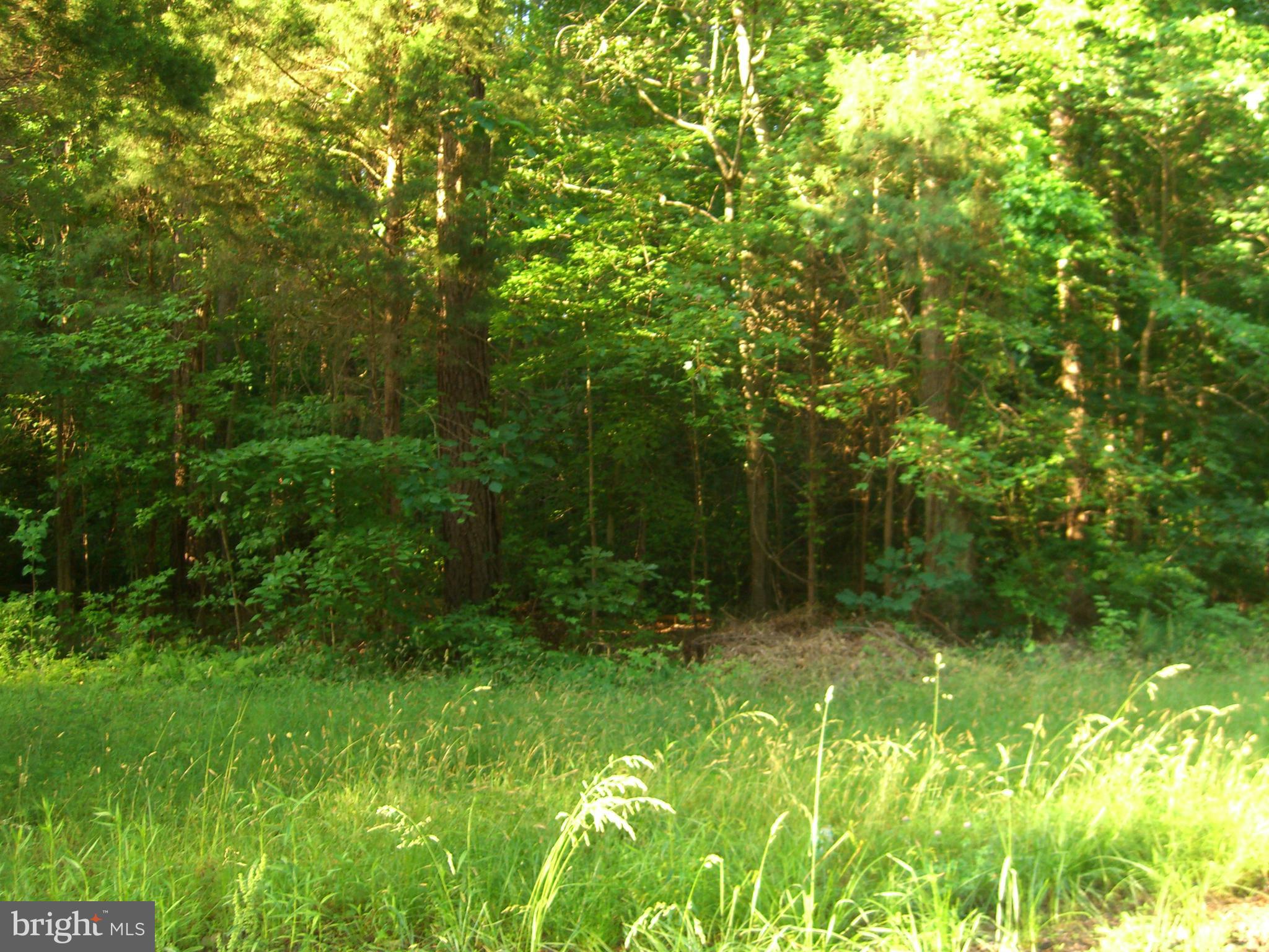 PATUXENT KNOLLS - Land