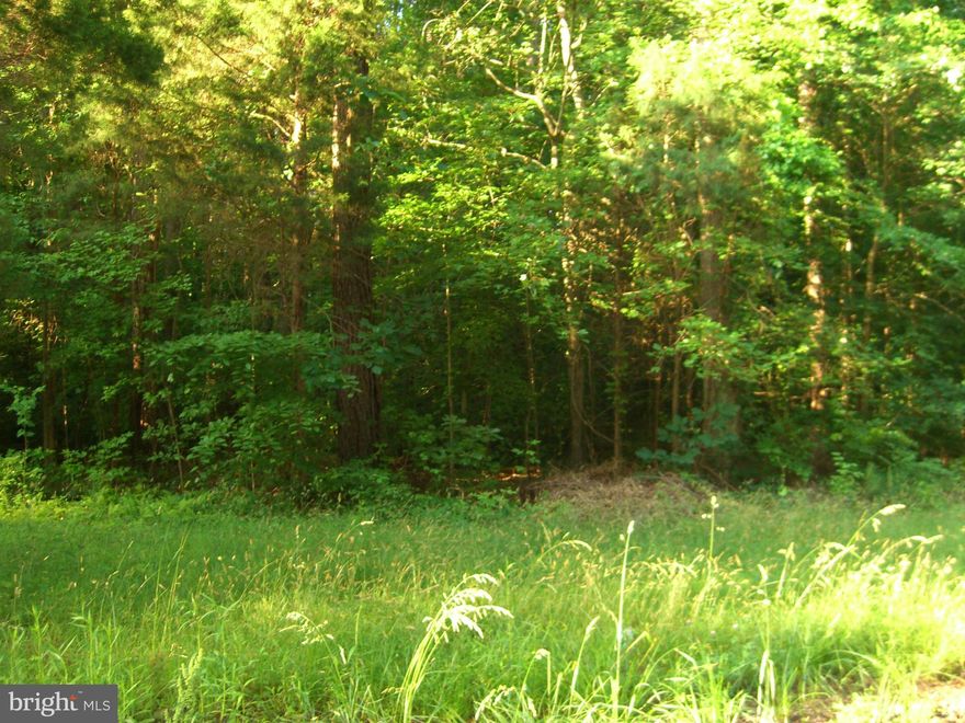 THIS .72 ACRE SLOPED LOT IS PERFECT FOR THAT WALK OUT BASEMENT AND HAS A RECORDED PERK TEST PRESERVATION PLAT FOR A STANDARD SEPTIC SYSTEM NOT A * MOUND TYPE SEPTIC * = ITS ON A CUL-DE-SAC WITH A TOTAL OF 9 HOMES NOW AND THIS WILL BE THE 10TH. A PLAT IS AVAILABLE UPON REQUEST CALL OWNER / AGENT.LOT IS BEING SOLD WELL BELOW ASSESSED VALUE.