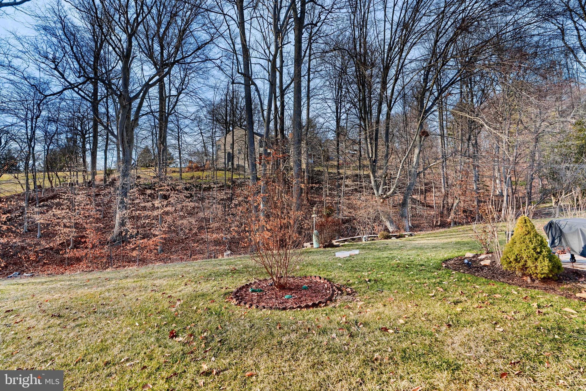 SCOTS FANCY - Residential