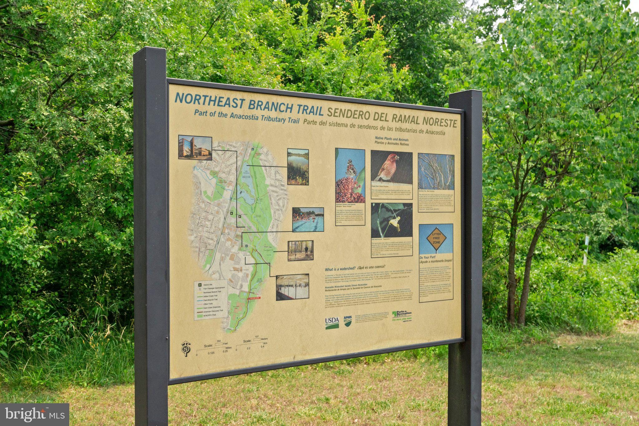 WOODLAWN - Residential