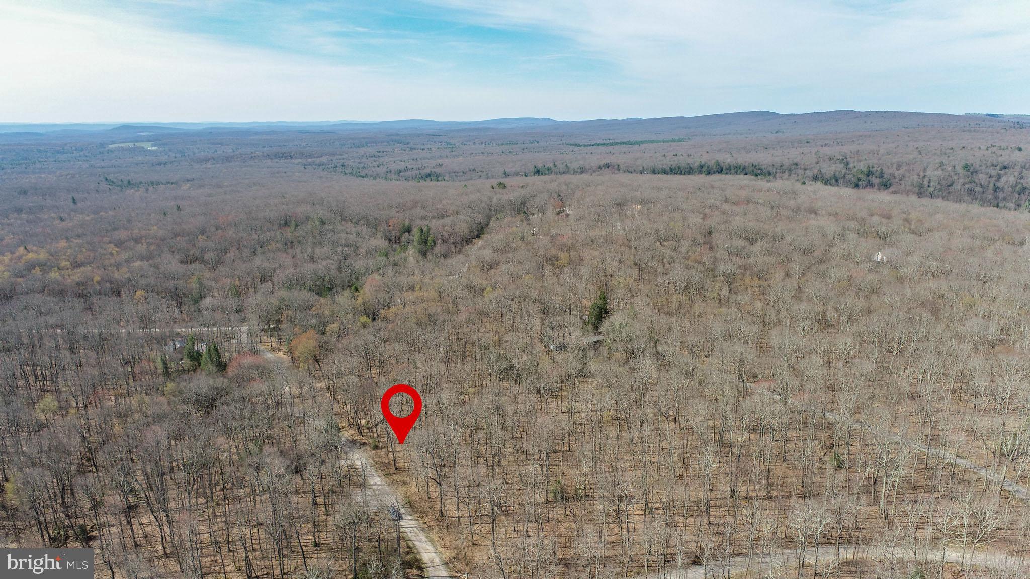 PINEY MOUNTAIN CORP - Land