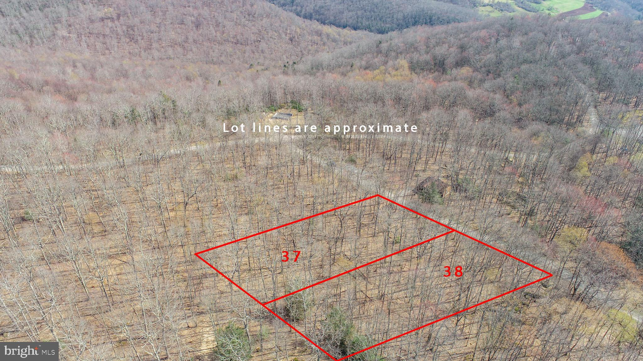 PINEY MOUNTAIN CORP - Land