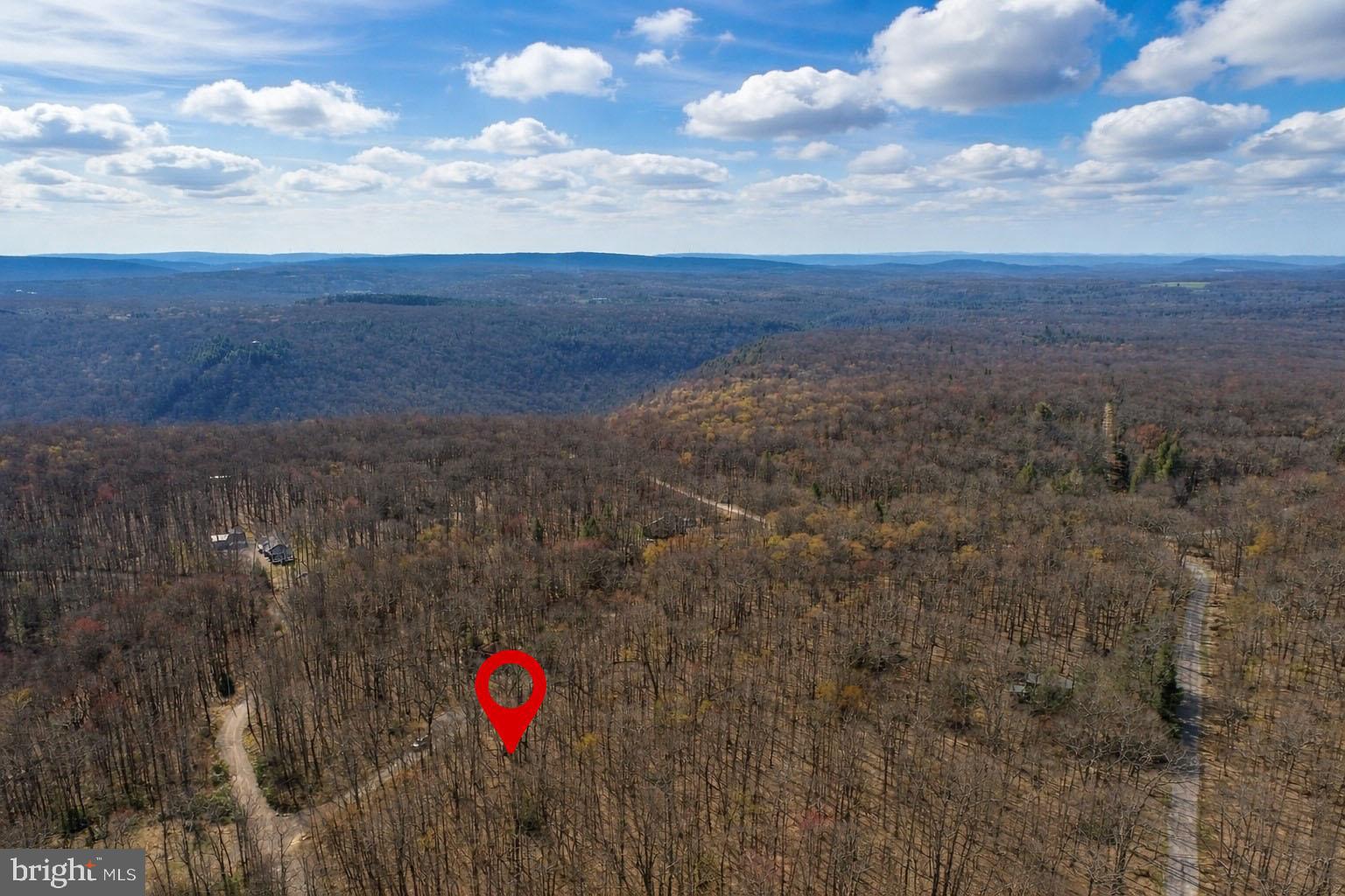 PINEY MOUNTAIN CORP - Land