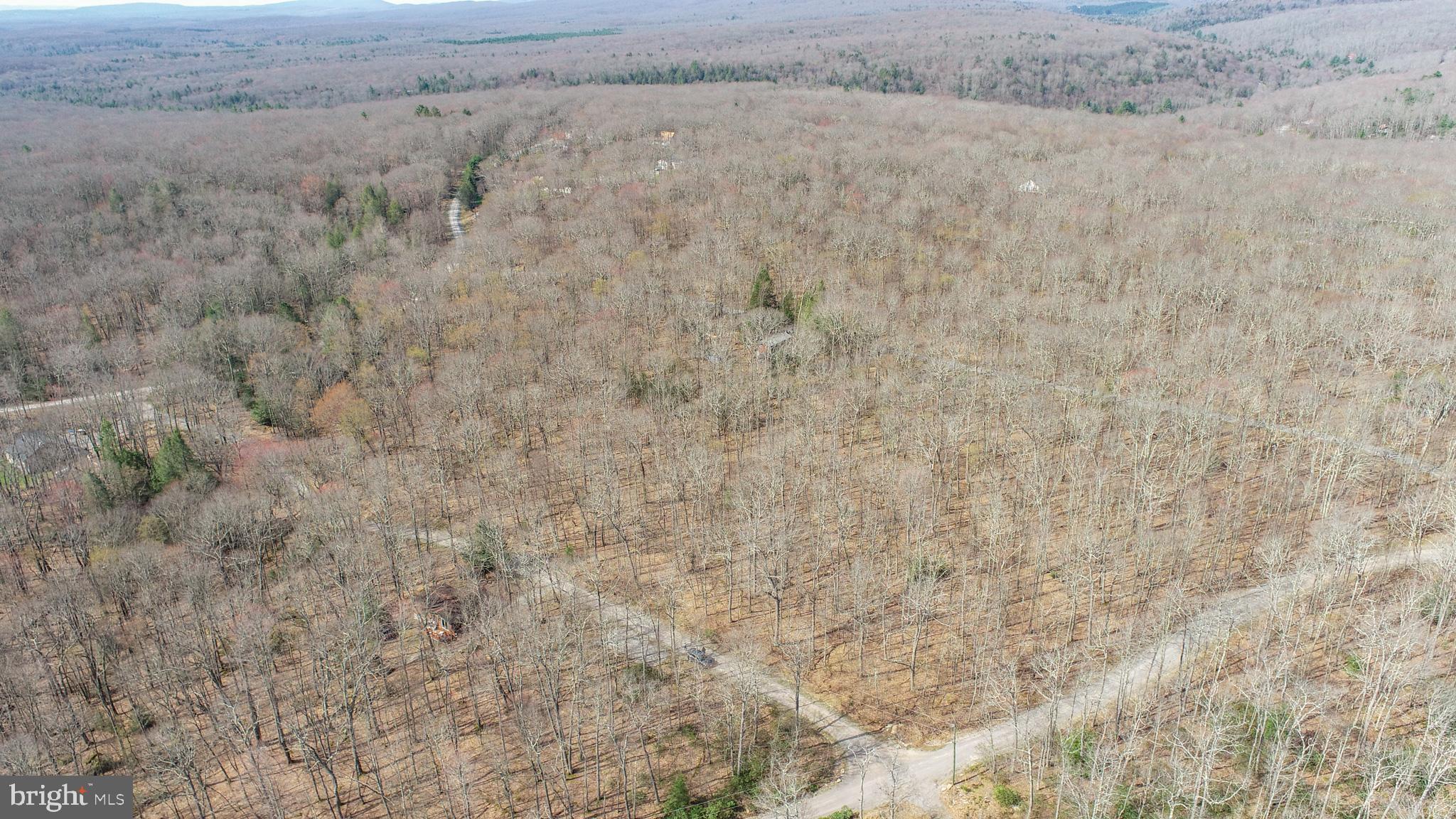PINEY MOUNTAIN CORP - Land