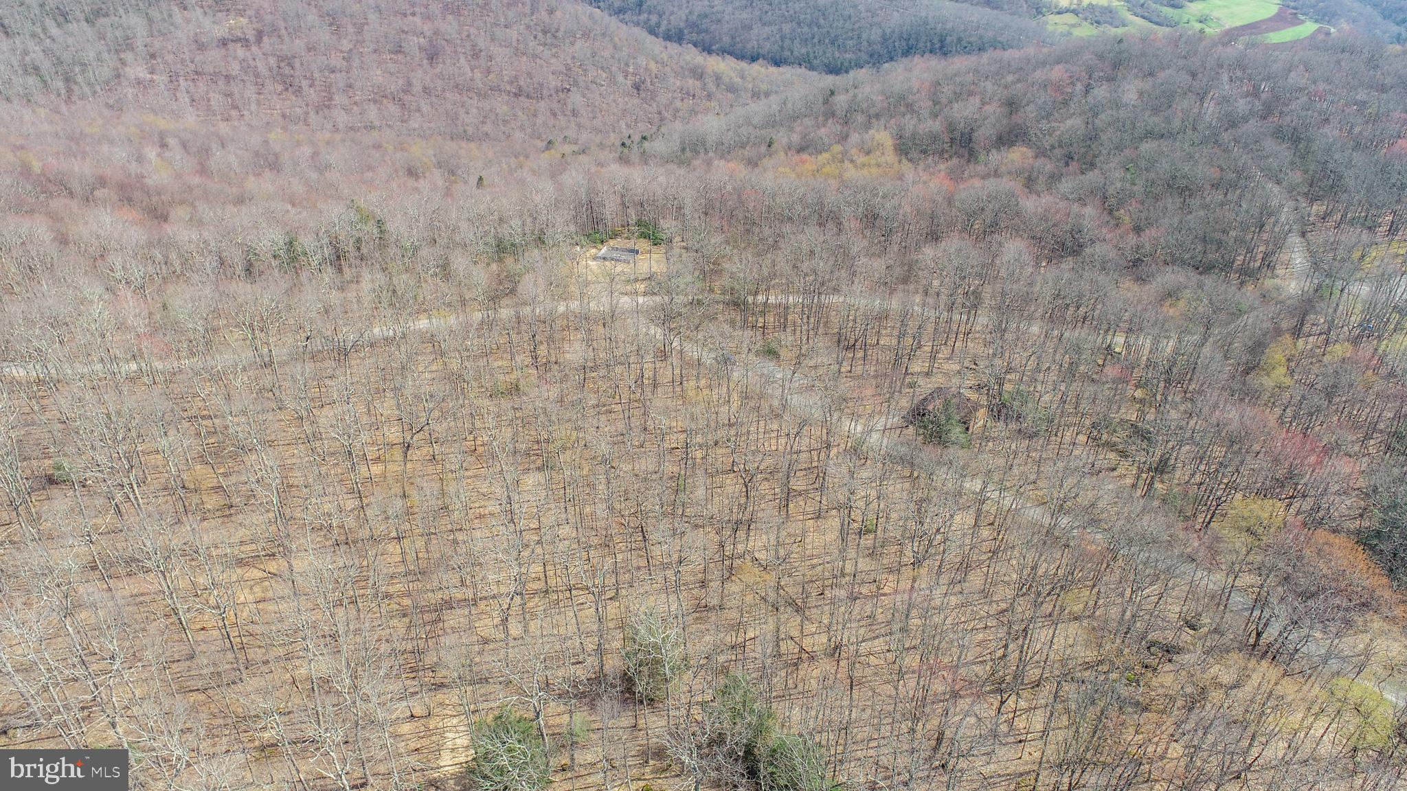 PINEY MOUNTAIN CORP - Land