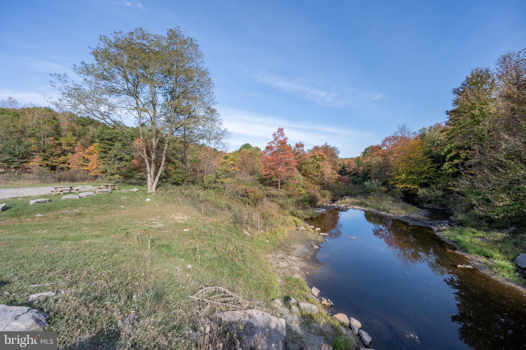 PINEY MOUNTAIN CORP - Land