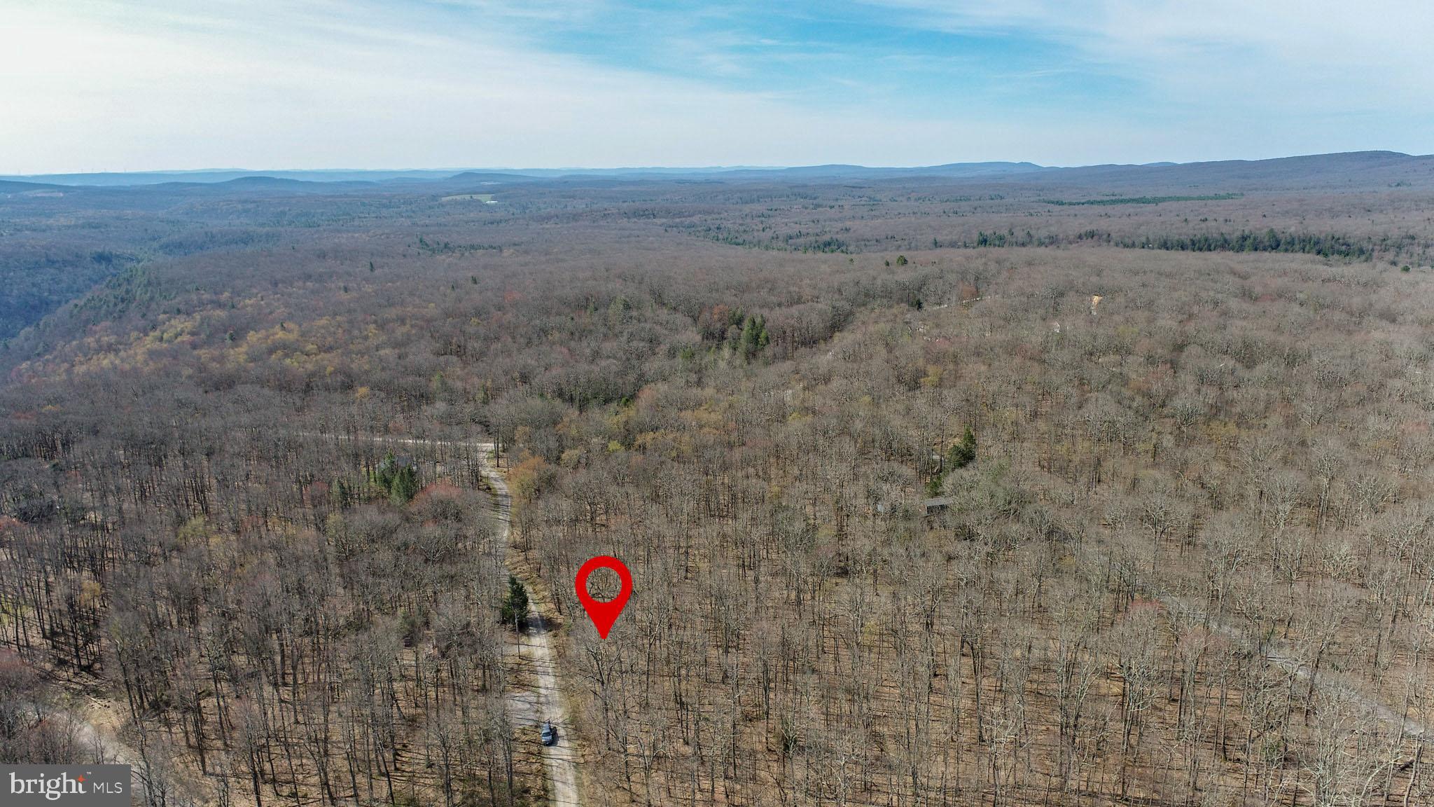 PINEY MOUNTAIN CORP - Land