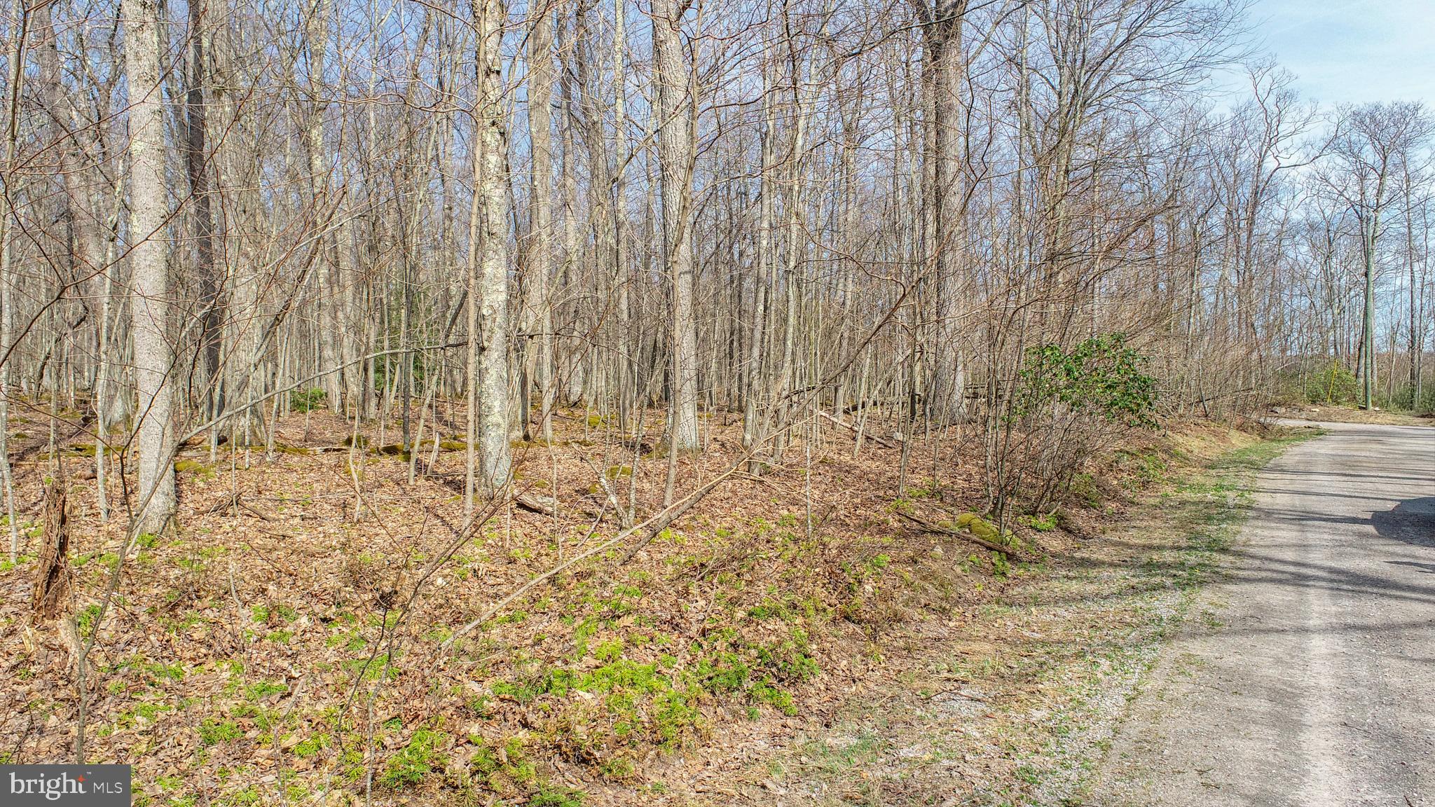 PINEY MOUNTAIN CORP - Land