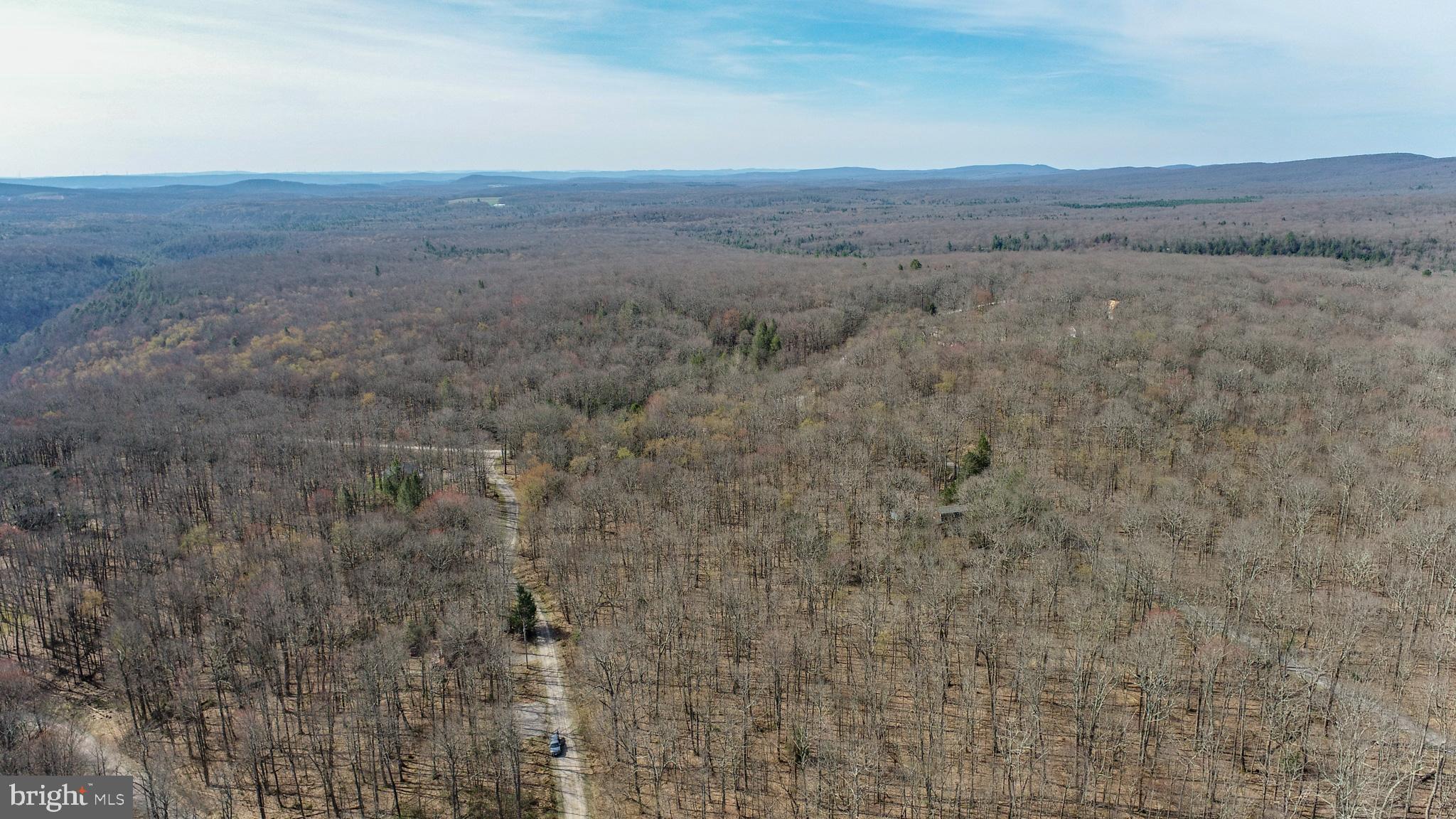 PINEY MOUNTAIN CORP - Land