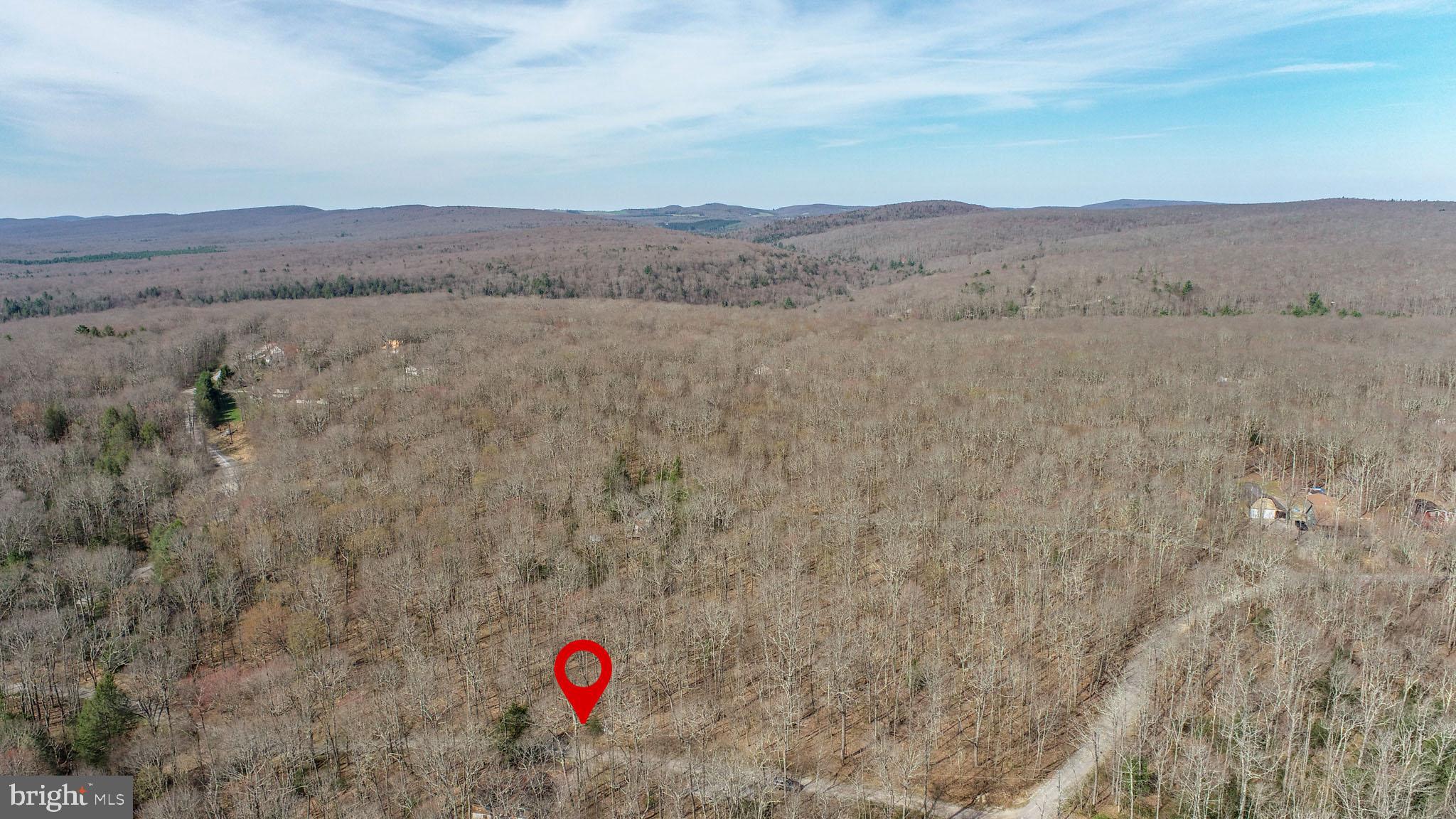 PINEY MOUNTAIN CORP - Land