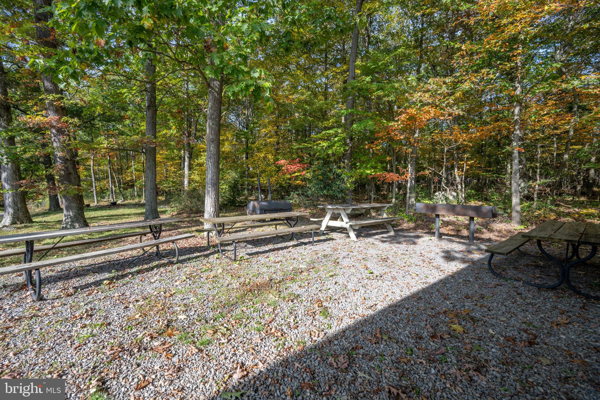 PINEY MOUNTAIN CORP - Land