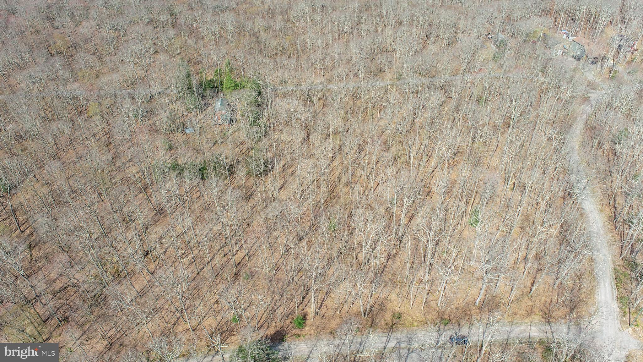 PINEY MOUNTAIN CORP - Land