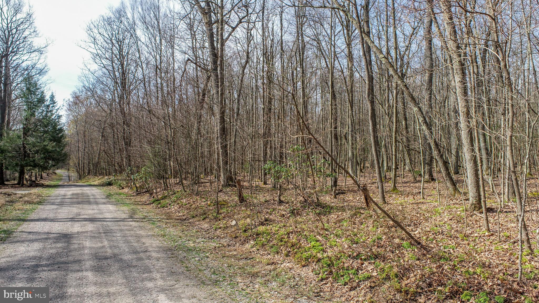 PINEY MOUNTAIN CORP - Land