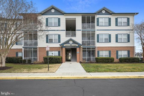 17063 S BRANDT STREET 4306 LEWES DE 19958