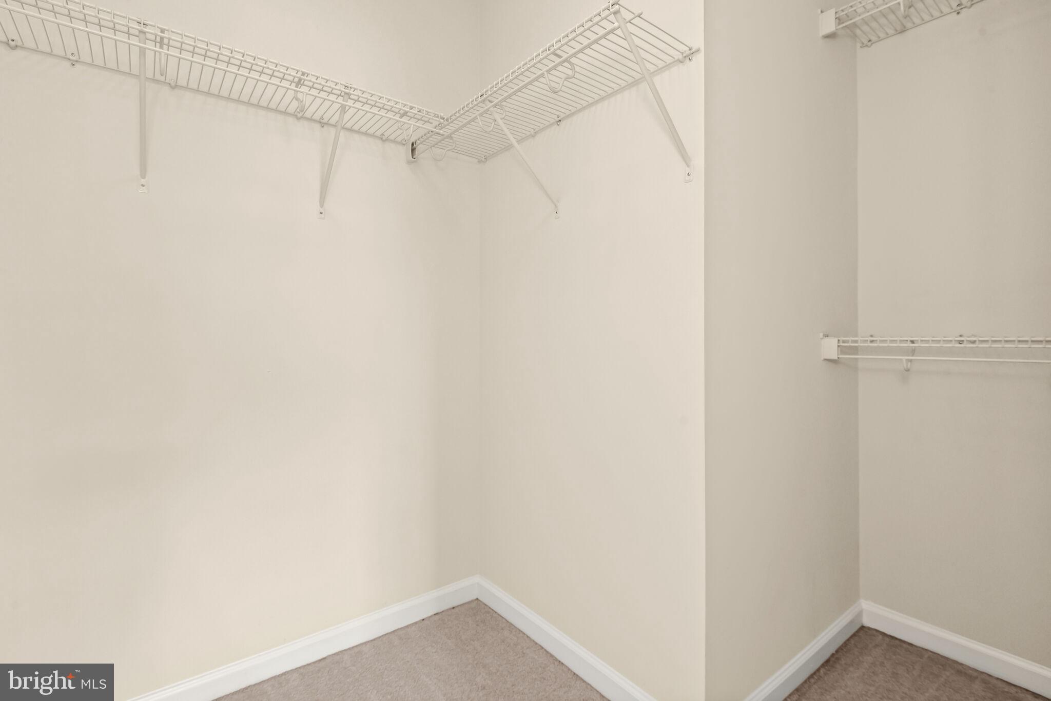 BLUE STREAM - Residential