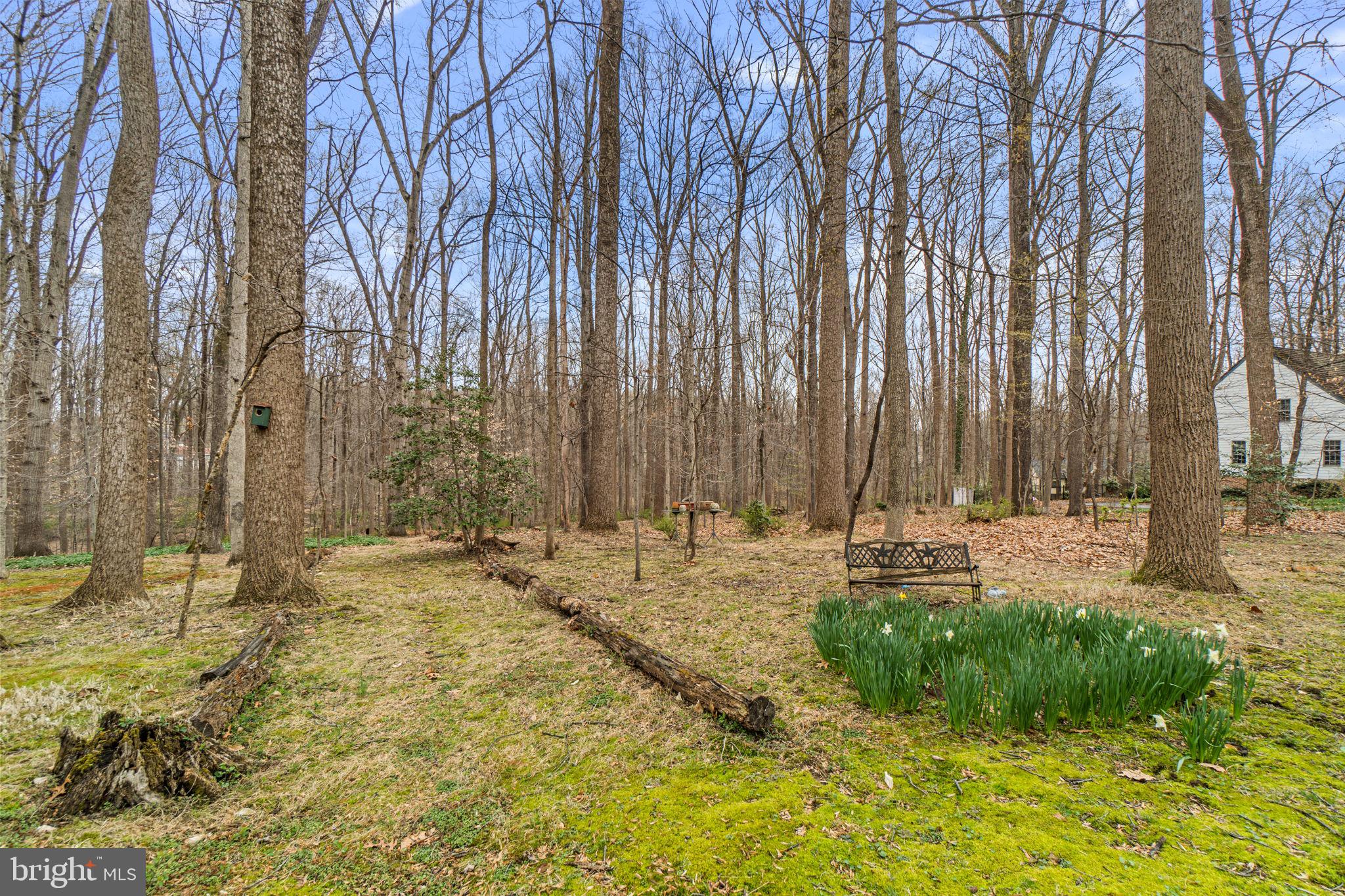 SIMPSON WOODS - Residential