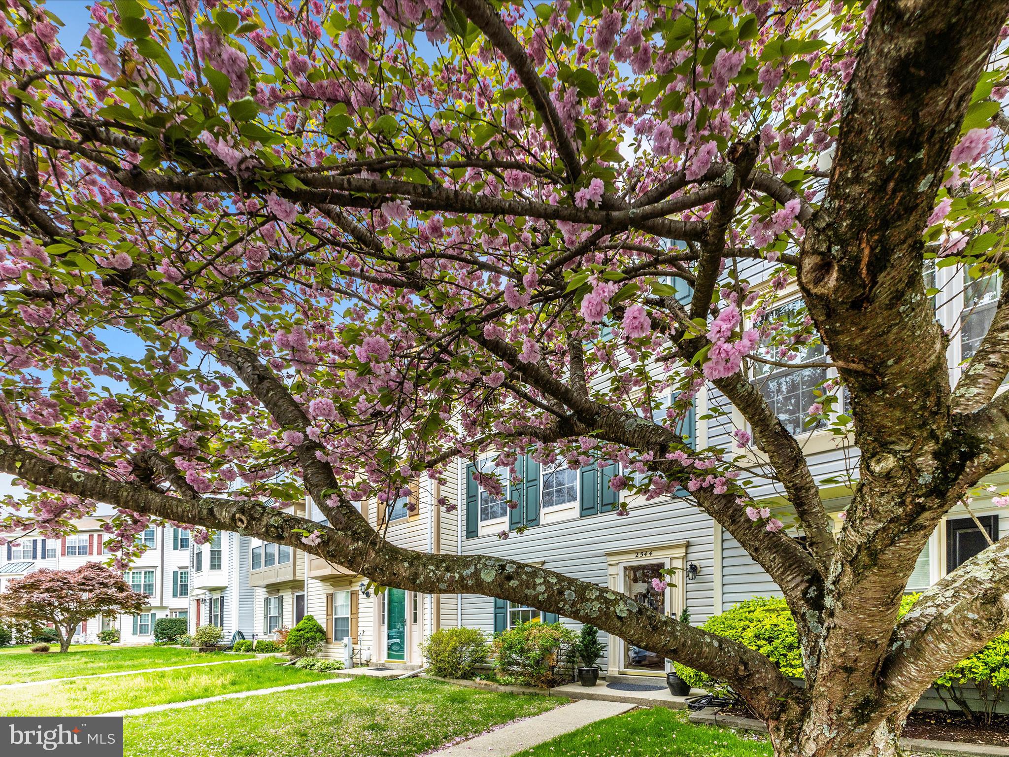 2544 AMBLING CIRCLE 31