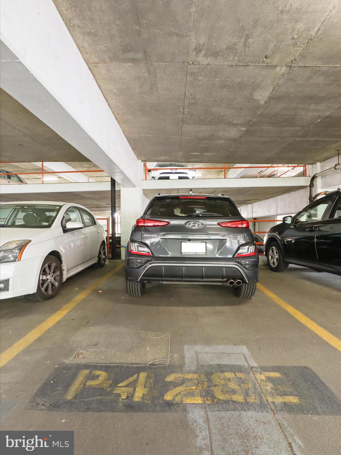 SKYLINE HOUSE - Residential