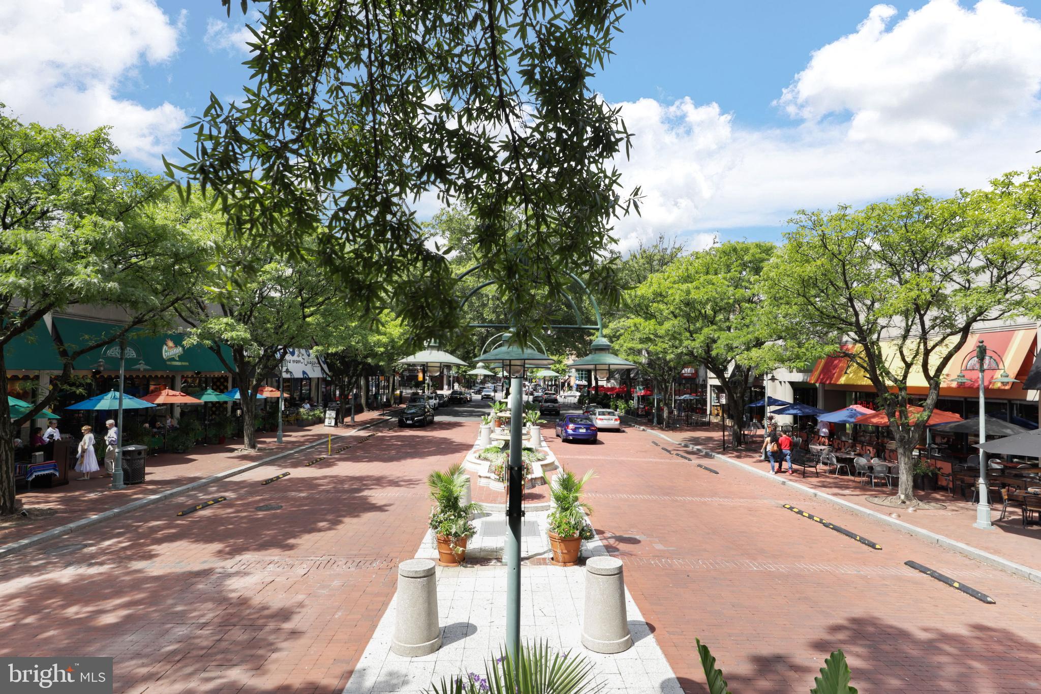 SKYLINE HOUSE - Residential