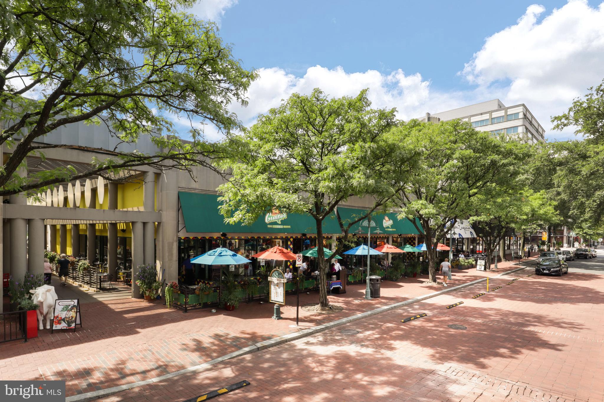 SKYLINE HOUSE - Residential