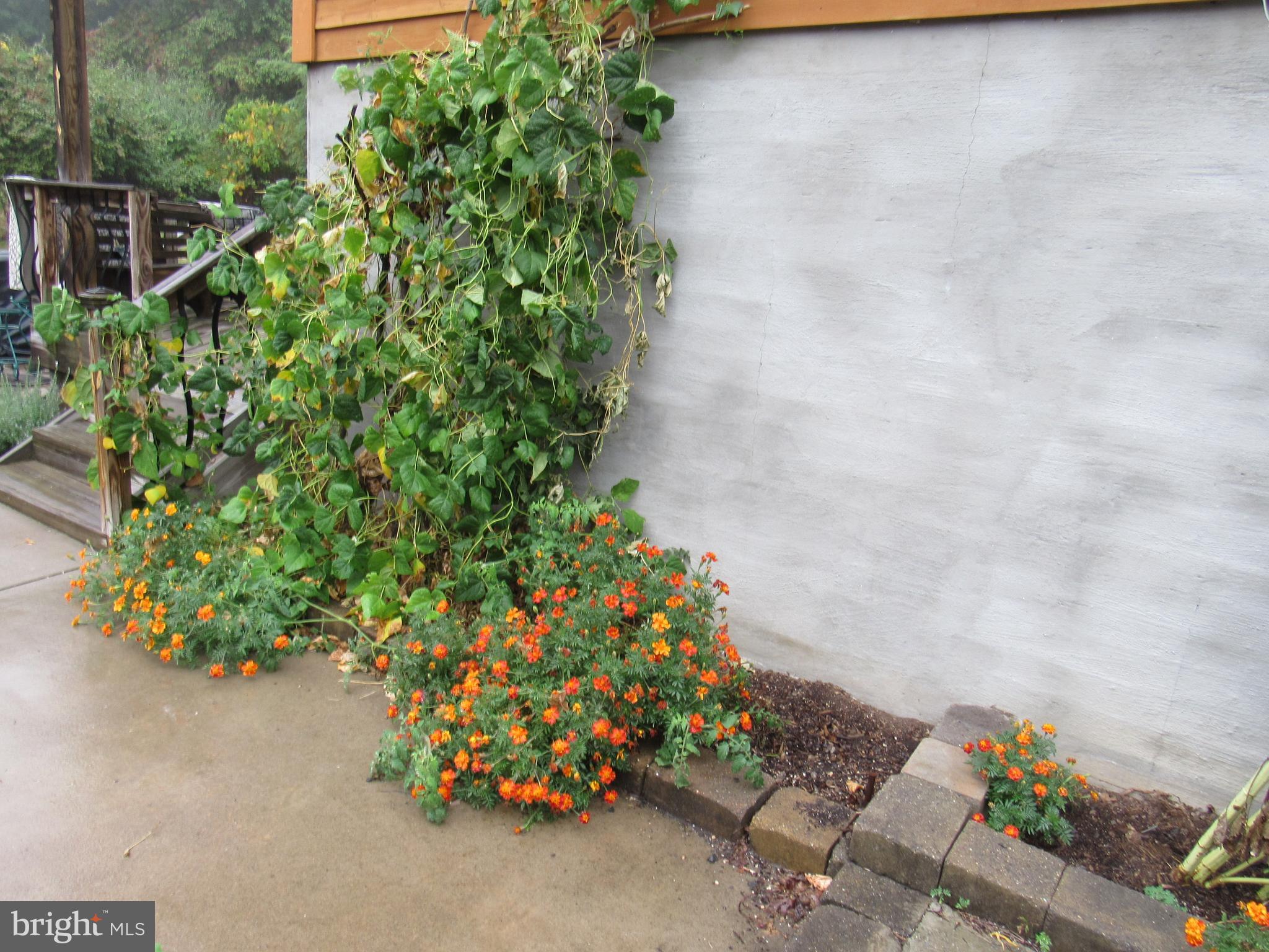 LOST RIVER RIDGE CIRCLE - Residential