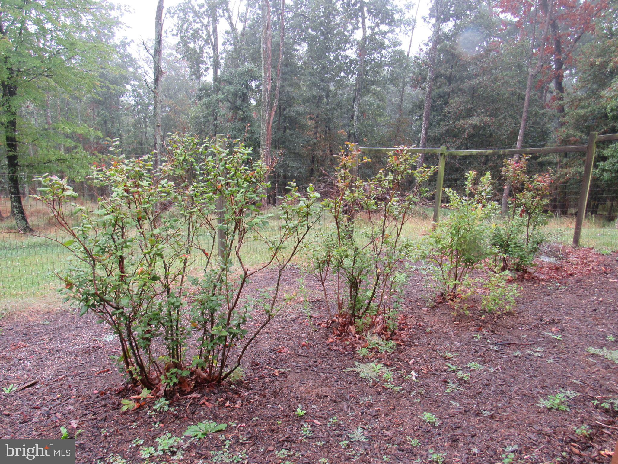 LOST RIVER RIDGE CIRCLE - Residential