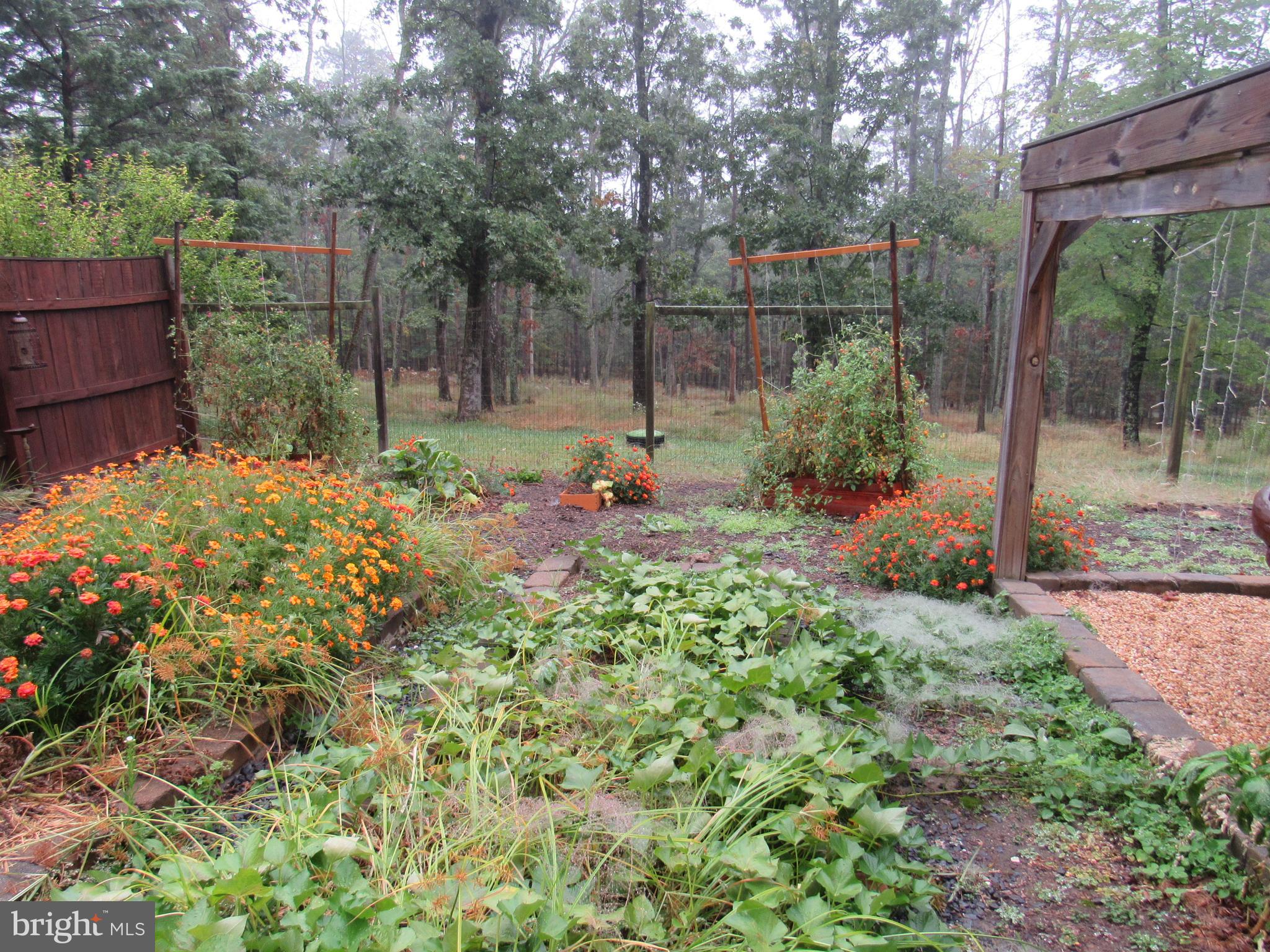 LOST RIVER RIDGE CIRCLE - Residential