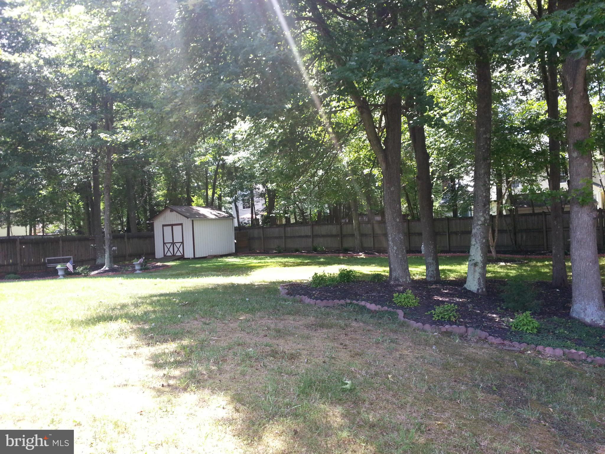 PINEFIELD - Residential