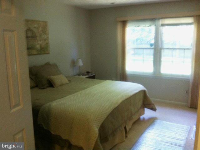 PINEFIELD - Residential