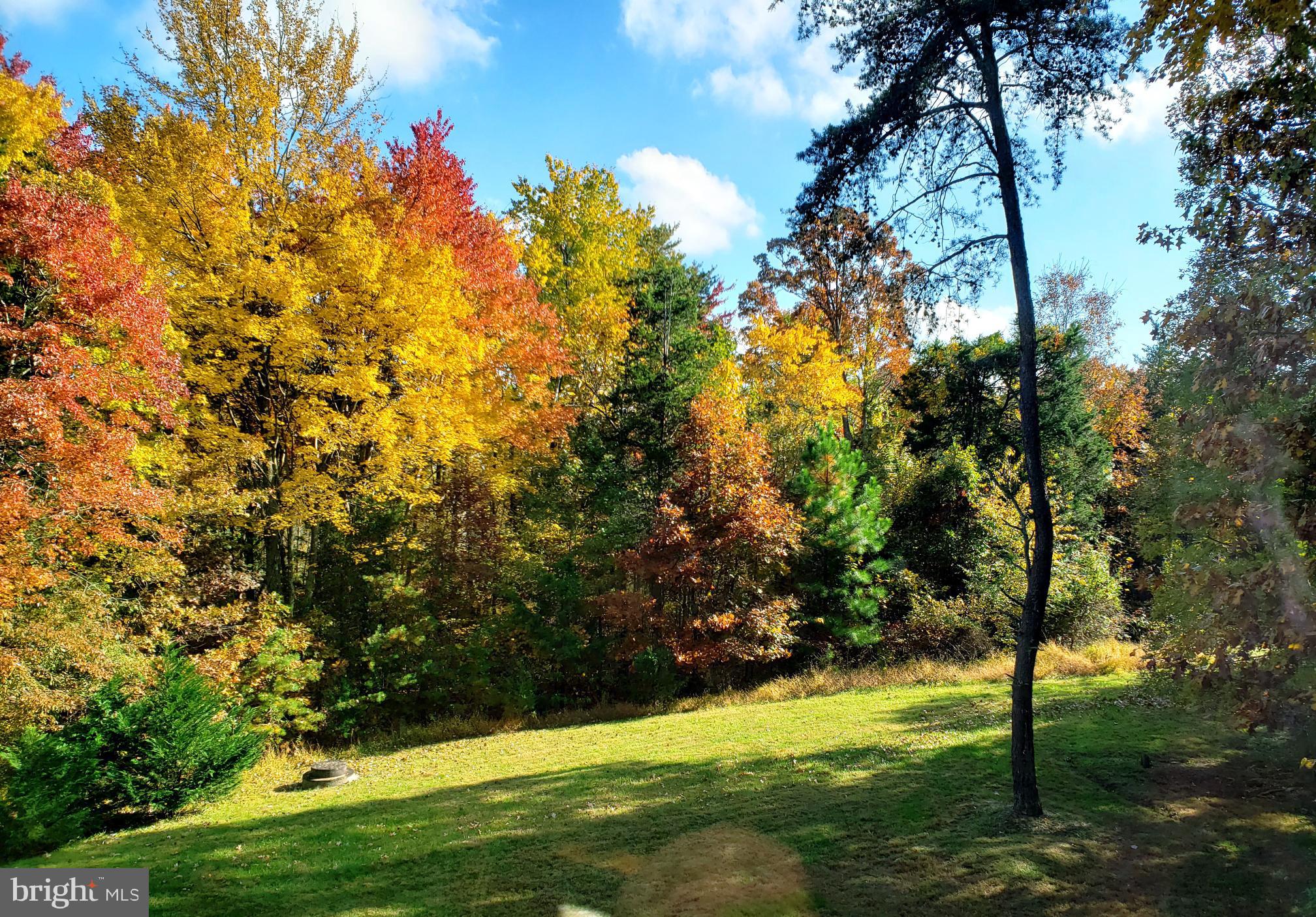 10228 BROADSWORD DRIVE