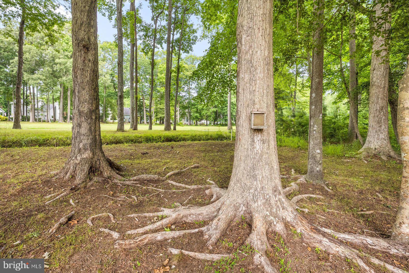 OCEAN PINES - INNERLINKS - Residential