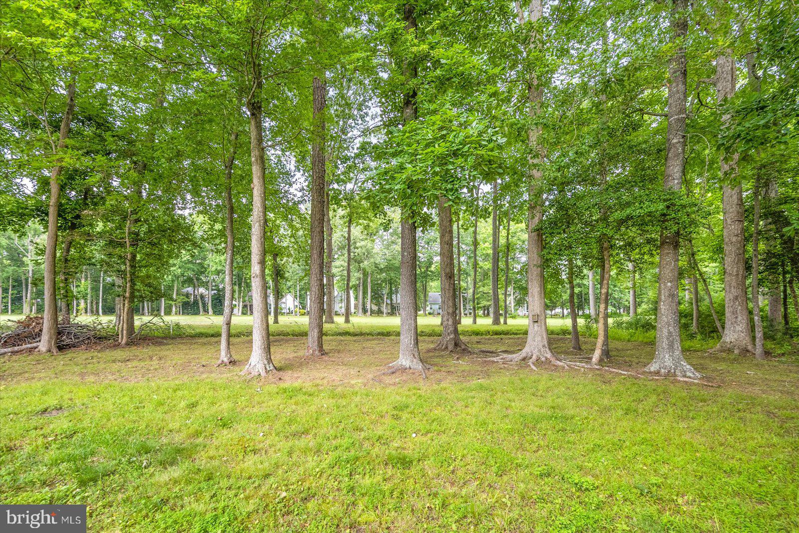 OCEAN PINES - INNERLINKS - Residential