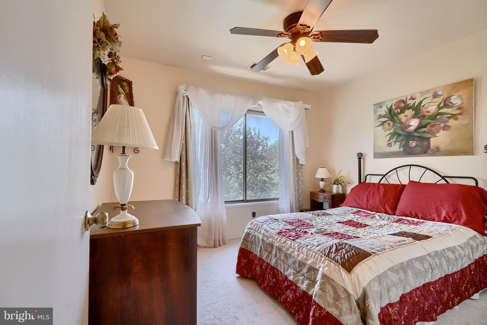 THE POINTS - Residential