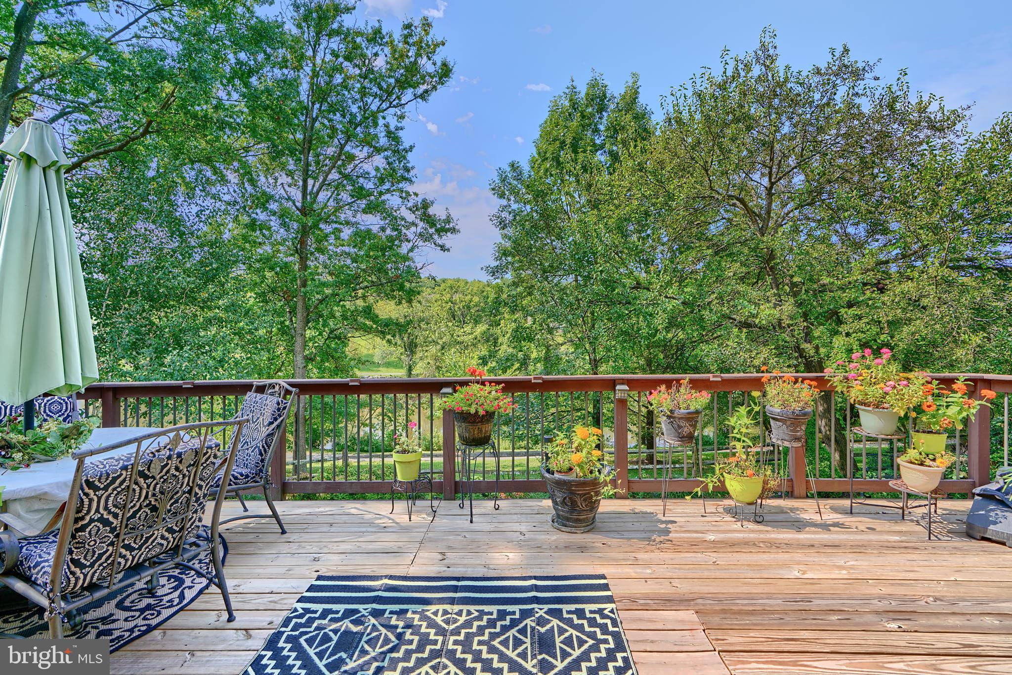 THE POINTS - Residential