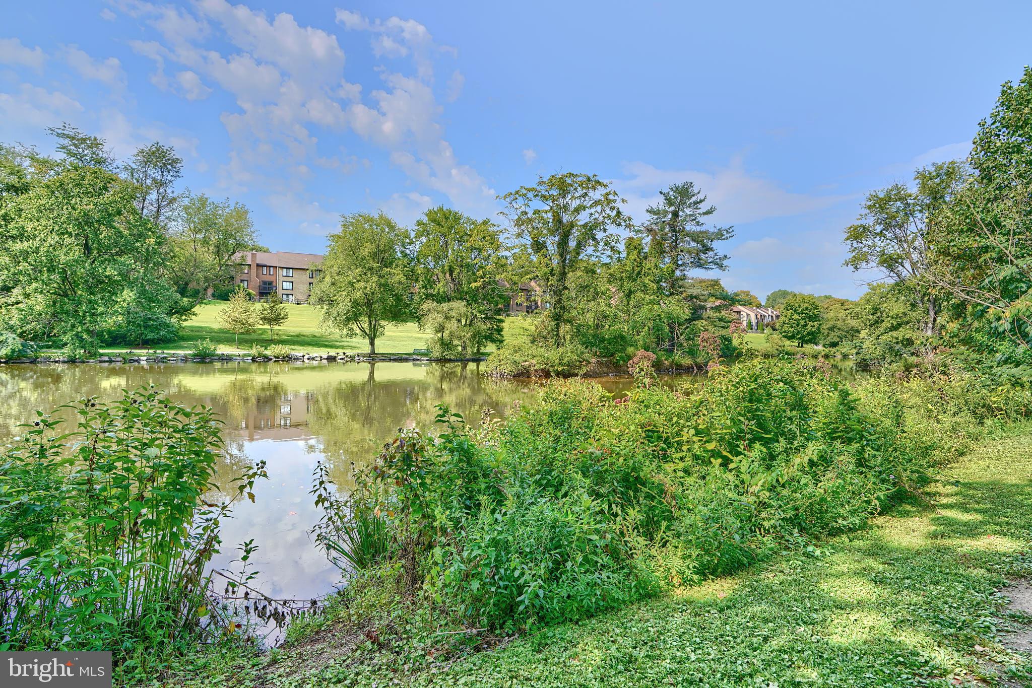 THE POINTS - Residential