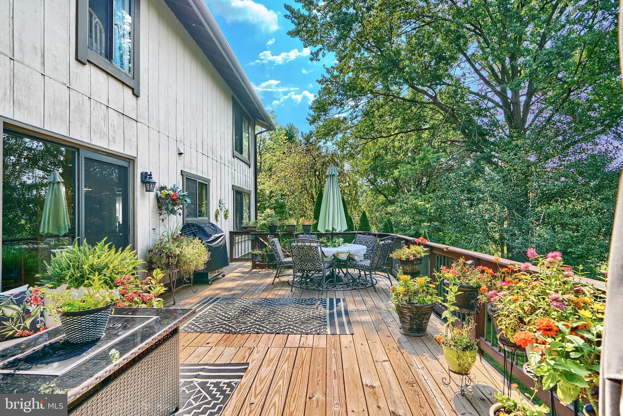 THE POINTS - Residential