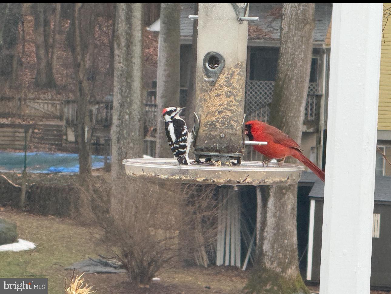 OAKTON - Residential