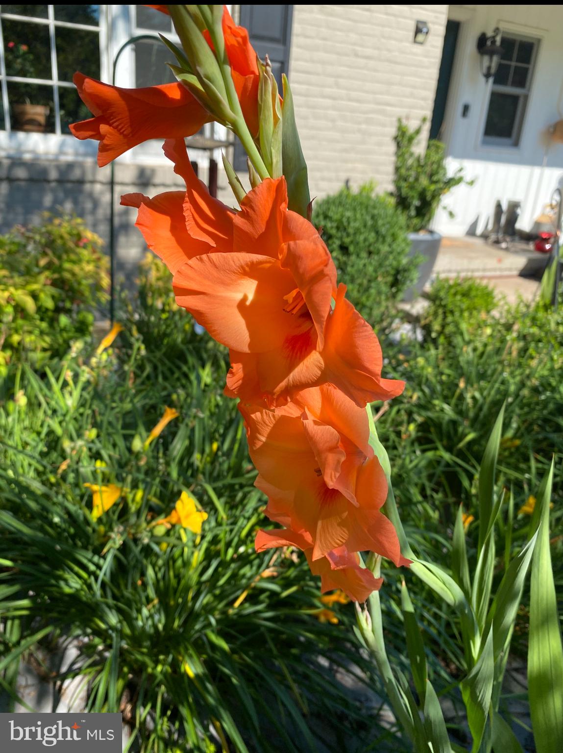 OAKTON - Residential