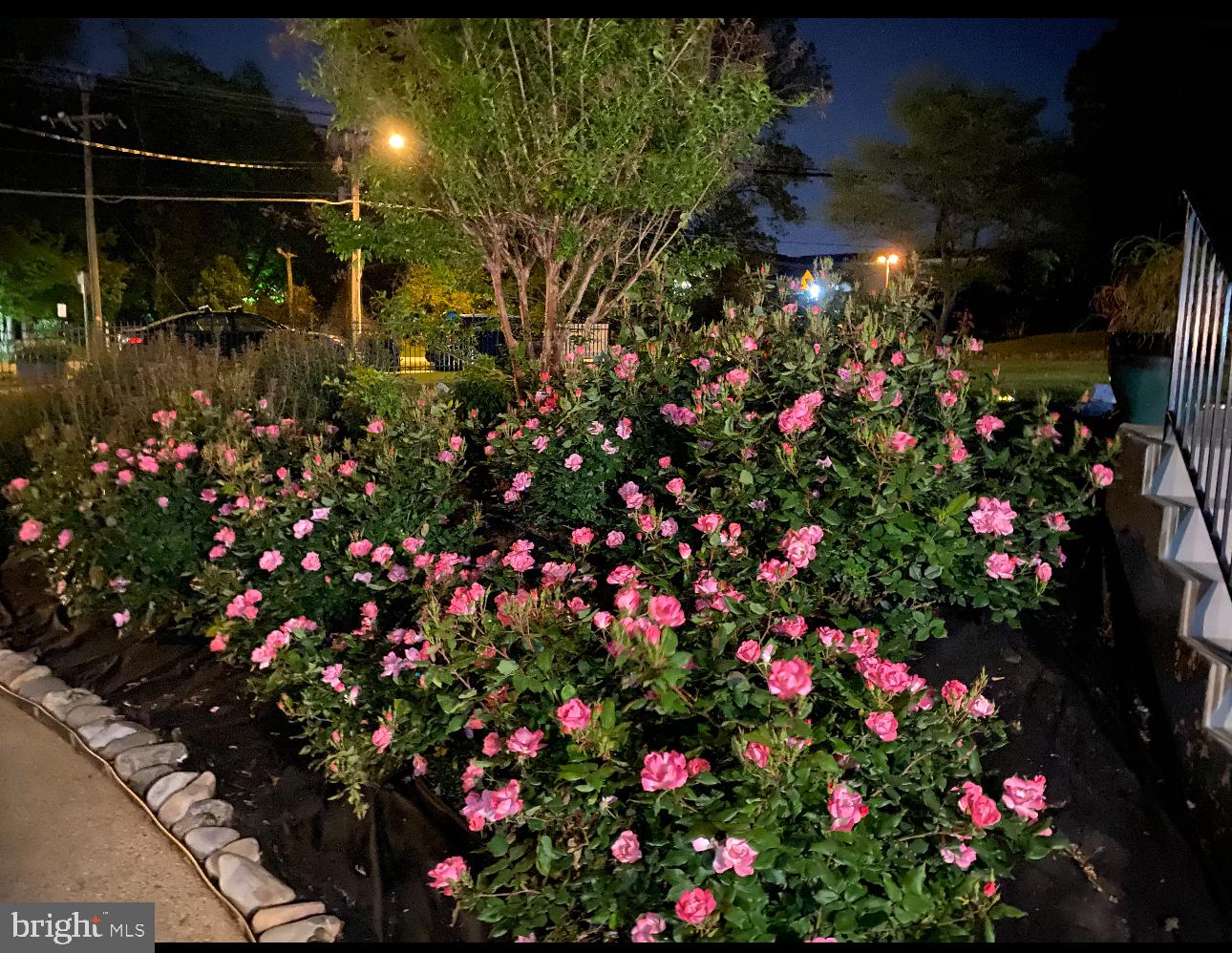 OAKTON - Residential