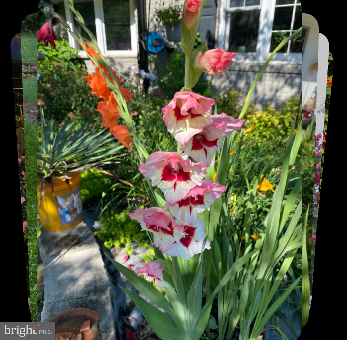 OAKTON - Residential