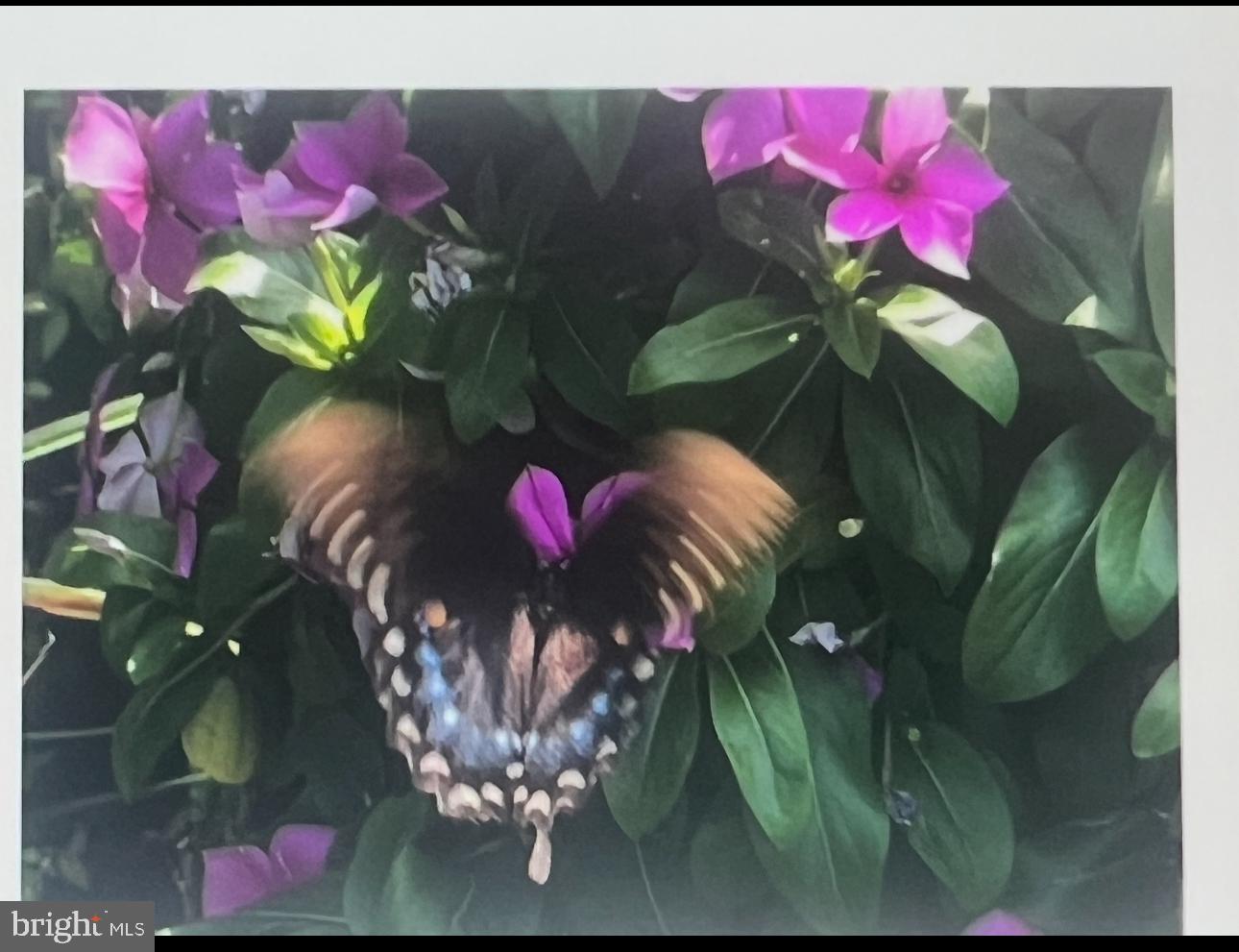 OAKTON - Residential